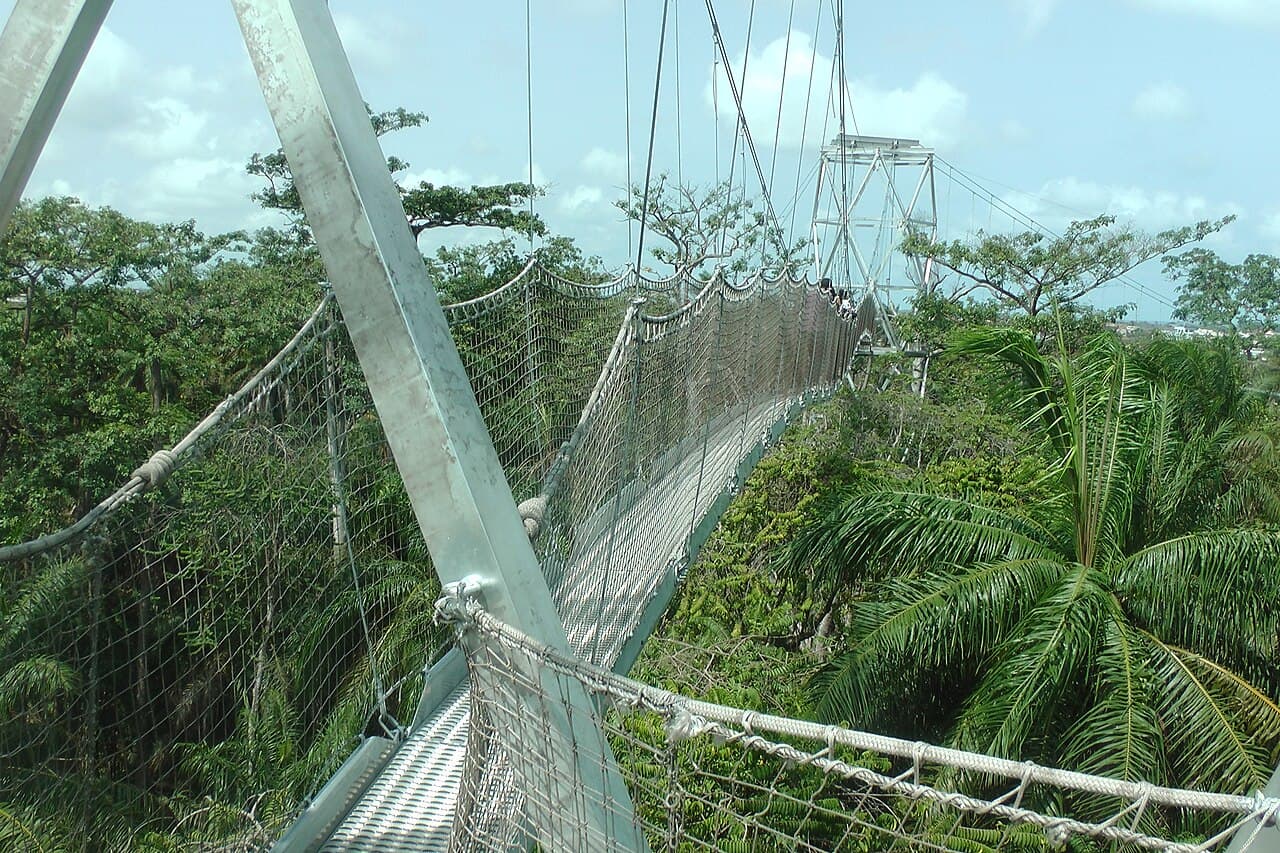 Photograph of Lekki Conservation Centre, Lagos